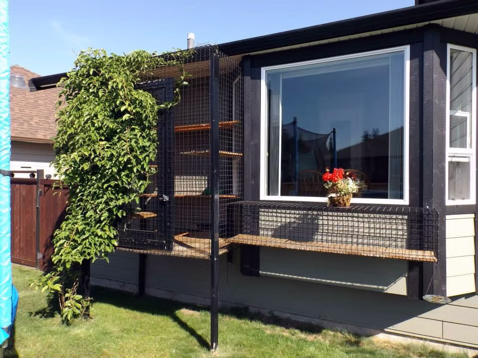 Black-framed catio wrapped around a bay window, with cedar shelves and a climbing vine