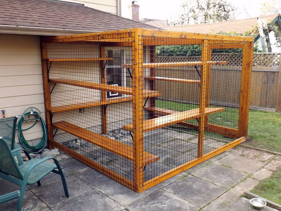 Cedar-stained catio built against the back of a house on a stone patio, with shelves at several heights