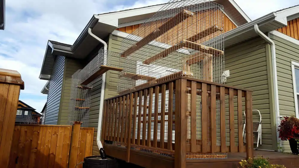 Raised deck with a cedar catio above it, cats' shelves running up to the roofline