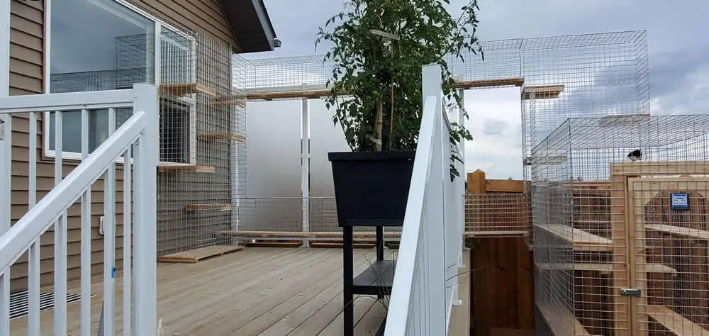 Deck with two catios joined by a mesh tunnel running past the railing