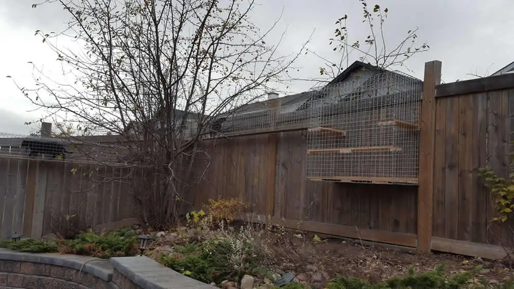 Mesh cat run with shelves built along the top of a wooden backyard fence