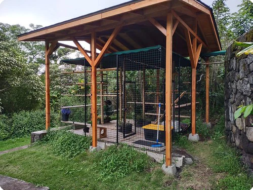 Freestanding walk-in catio in a garden, with a cedar gable roof and shelving inside