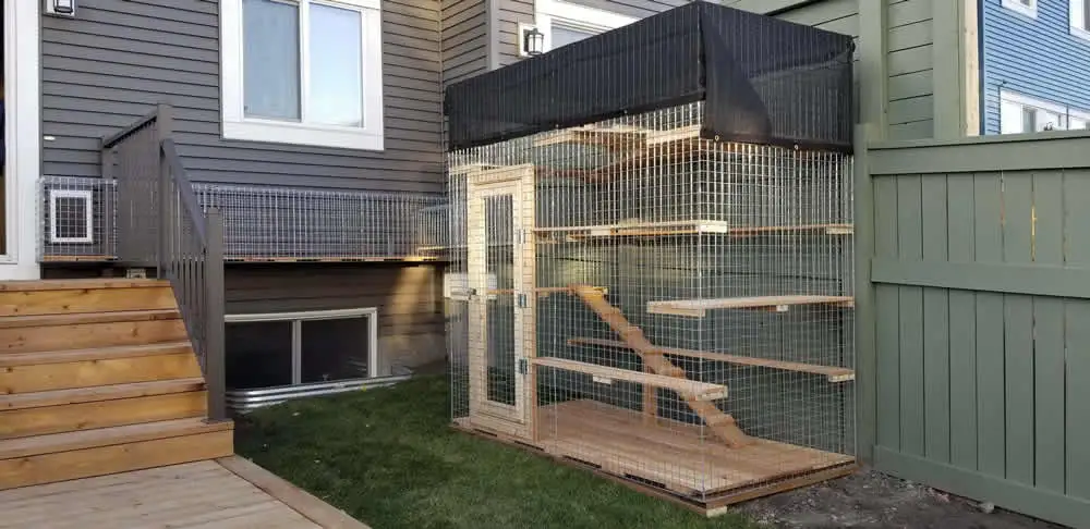 Ground-level catio beside back steps, reached through a basement window