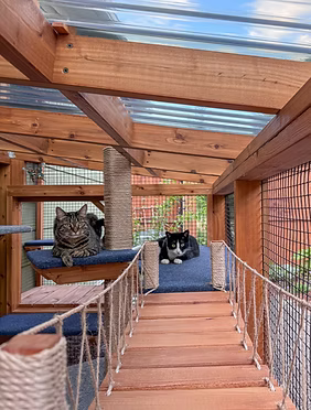 Two cats lounging on cushions at the end of a rope bridge inside a cedar walk-in catio
